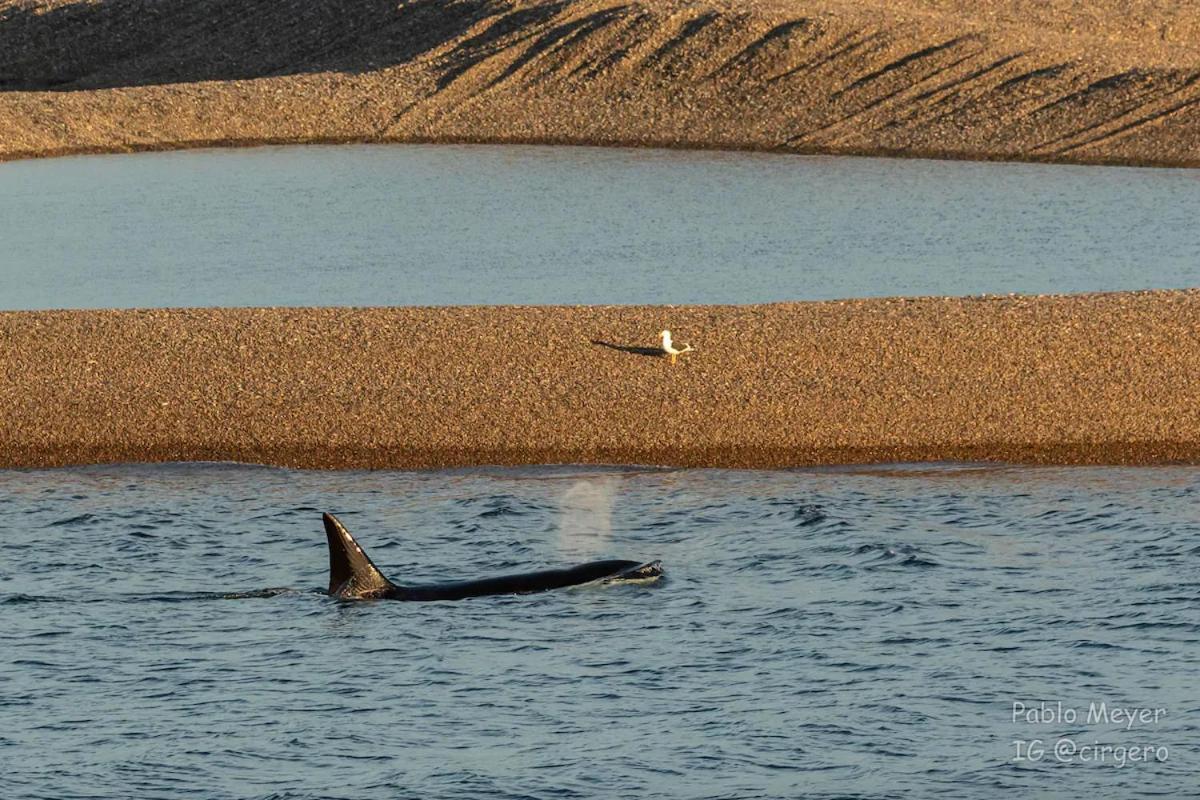 La Elvira Natural Lodge Nature & Wildlife Experience In Peninsula Valdes Punta Delgada المظهر الخارجي الصورة